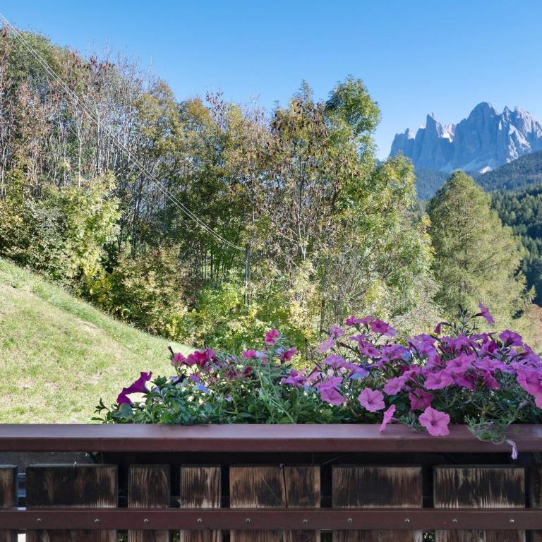 Veltierhof Villnöß - Camera Matrimoniale con Vista Montagna - 6