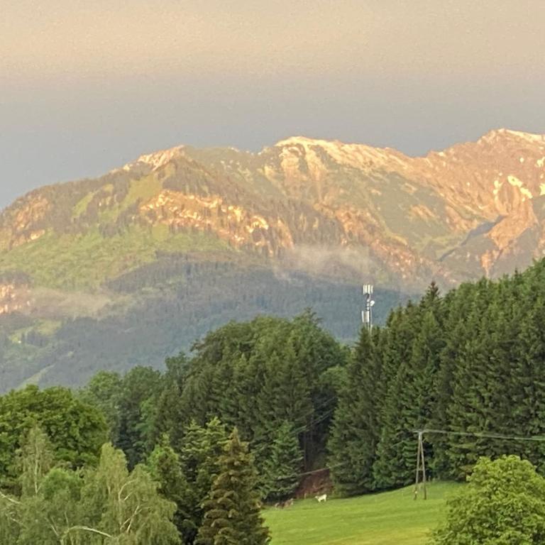 Ferienwohnung Alpenherz 80qm - Apartment mit 1 Schlafzimmer und Gartenblick - 26