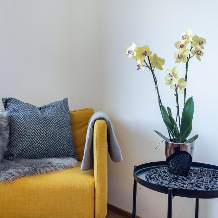 Ferienwohnung Auf Dem Haldershof - Apartment mit 3 Schlafzimmern und Bergblick - 12