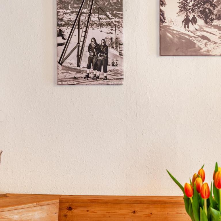 Haus Niklos - Waldeck - Superior Apartment mit 1 Schlafzimmer und Balkon - 9