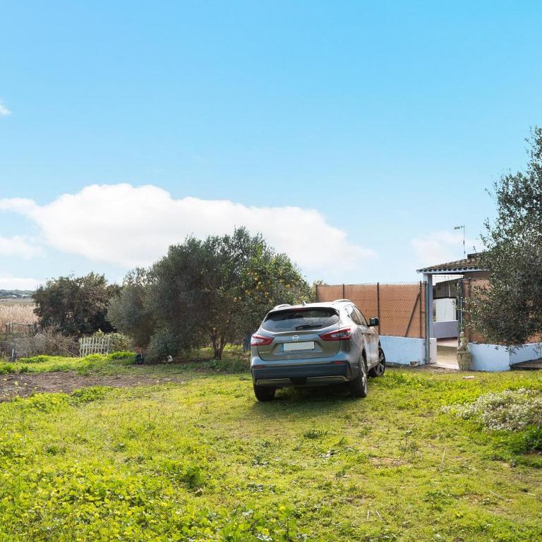 Los Olivos - Casa de 2 dormitorios - 24