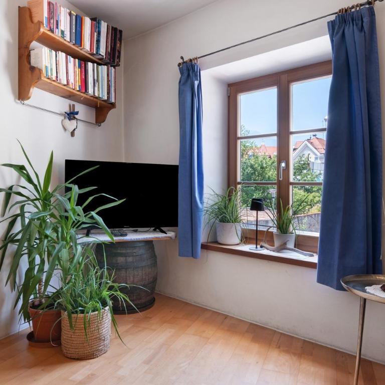 Bachguthof - Appartamento Deluxe con 2 Camere da Letto e Vista Giardino - 11