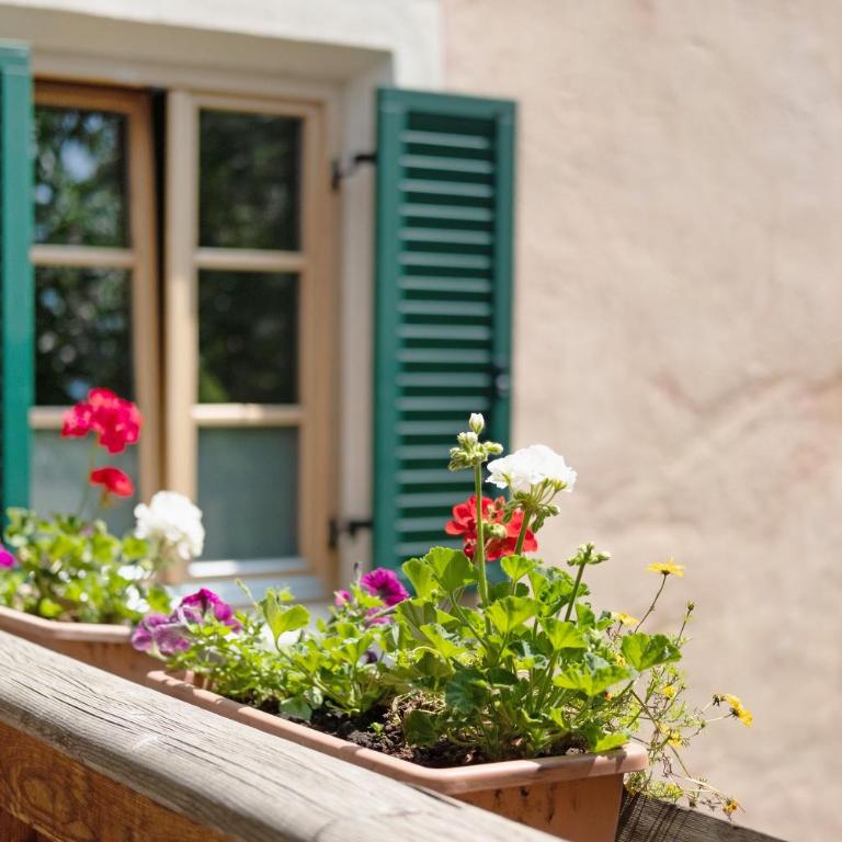 Bachguthof - Appartamento Deluxe con 2 Camere da Letto e Vista Giardino - 6