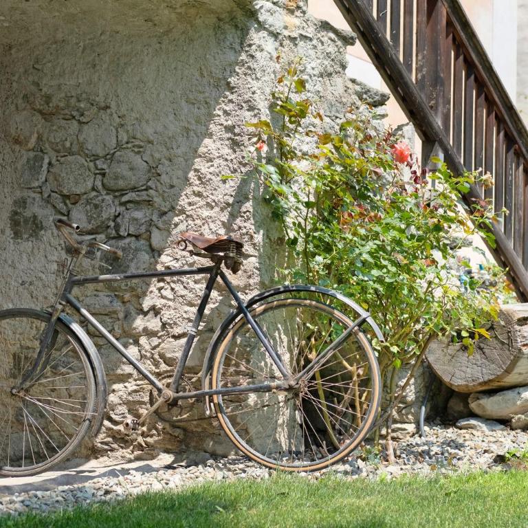 Bachguthof - Appartamento Deluxe con 2 Camere da Letto e Vista Giardino - 33