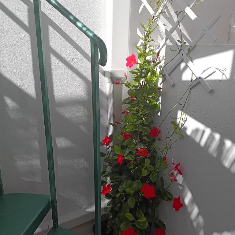 Casa Vitamin Sea - Superior One-Bedroom Apartment with Balcony - 19