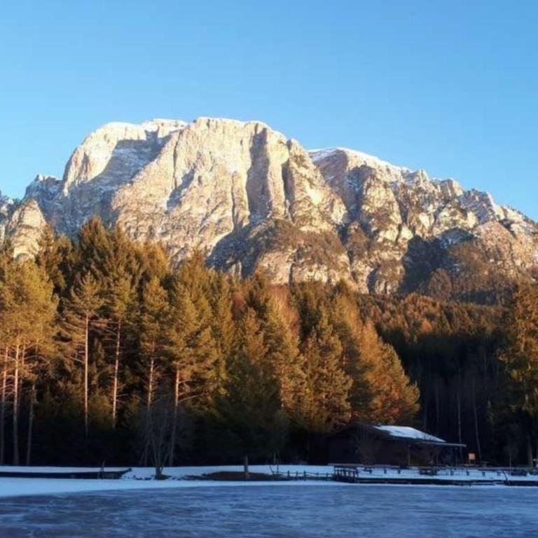 Studio Santnerblick Gfliererhof - Appartamento Superior con 1 Camera da Letto e Balcone - 24