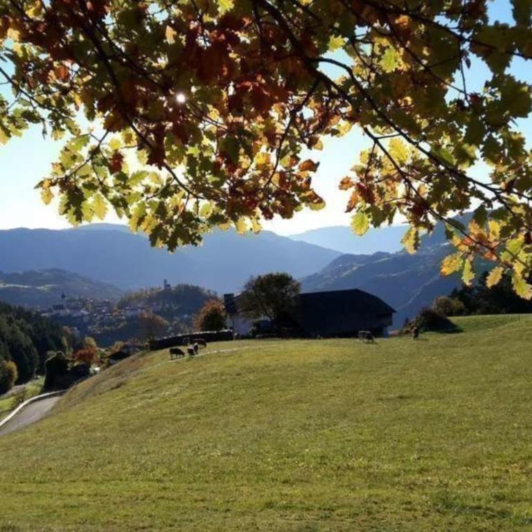 Studio Santnerblick Gfliererhof - Appartamento Superior con 1 Camera da Letto e Balcone - 21