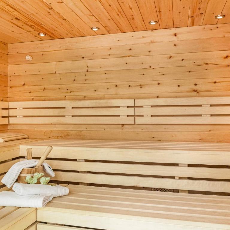 Studio Hochzillertal mit Sauna - Studio with Mountain View - 25