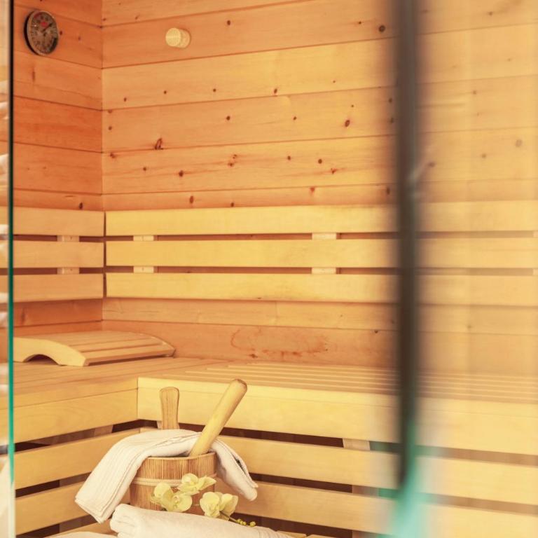 Studio Hochzillertal mit Sauna - Studio with Mountain View - 26