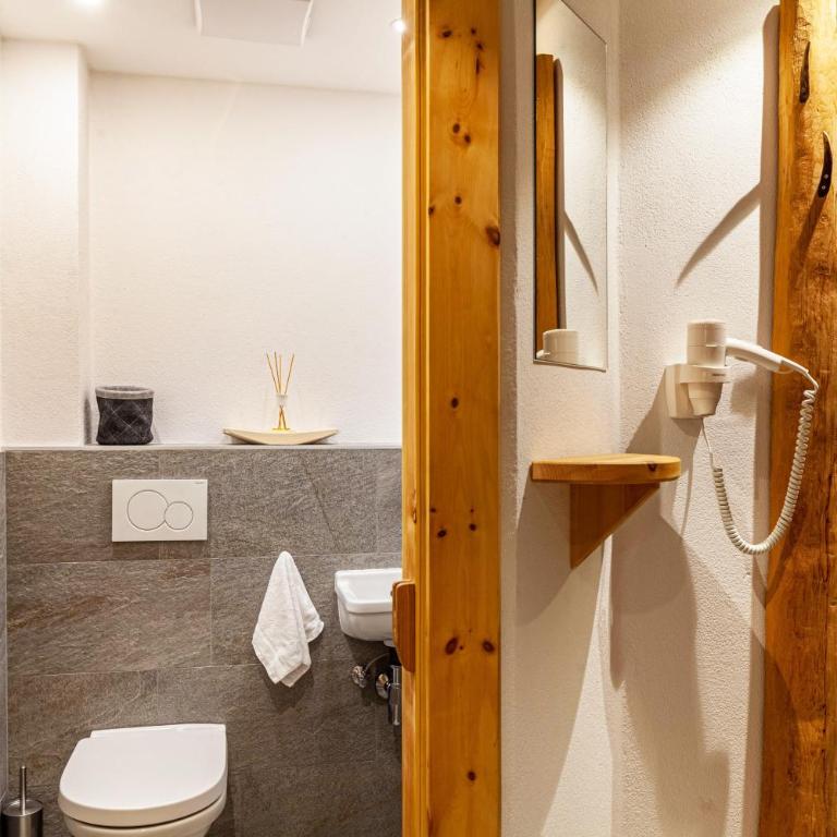 Studio Hochzillertal mit Sauna - Studio with Mountain View - 29