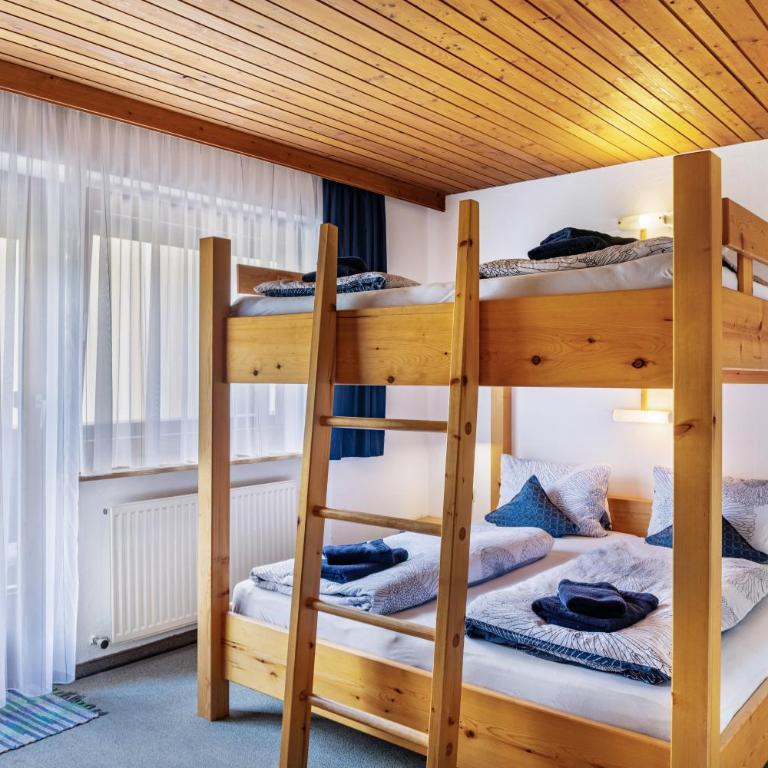 Studio Hochzillertal mit Sauna - Studio with Mountain View - 1