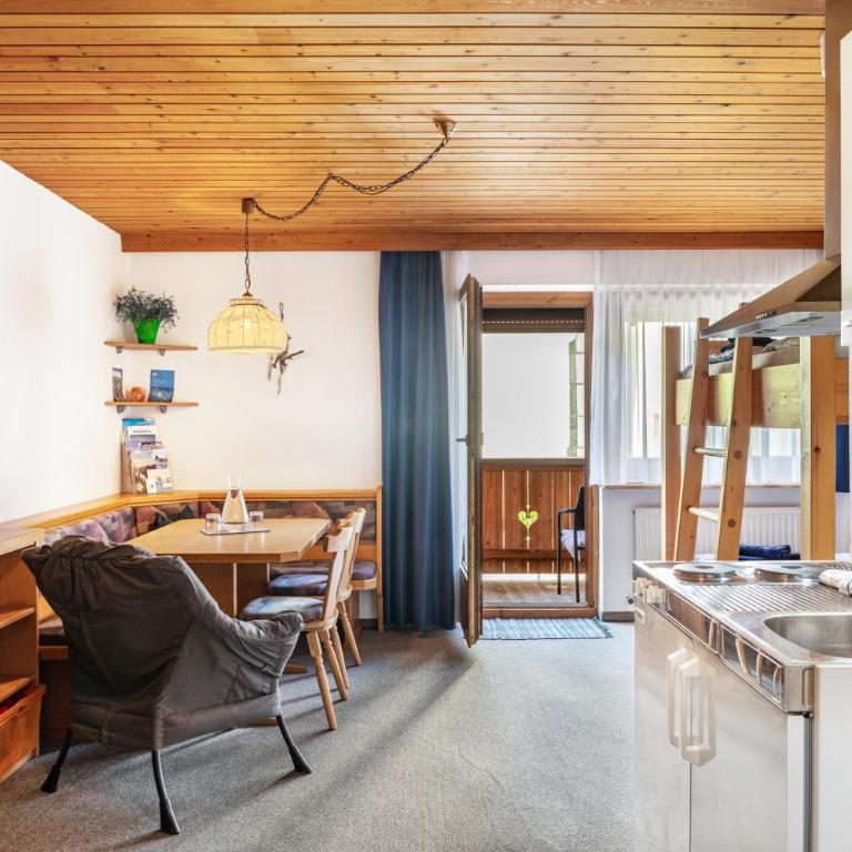 Studio Hochzillertal mit Sauna - Studio with Mountain View - 3