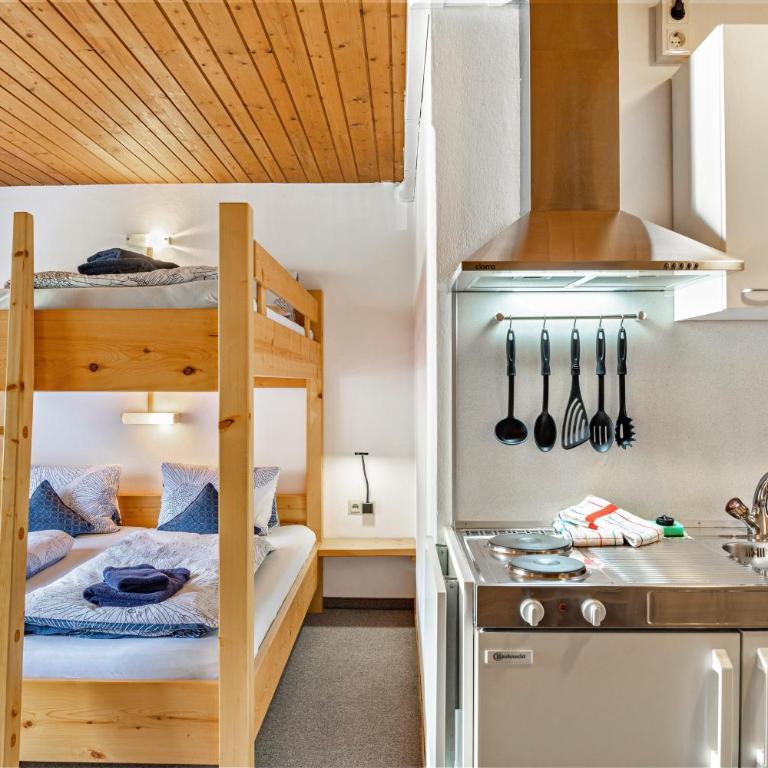 Studio Hochzillertal mit Sauna - Studio with Mountain View - 11