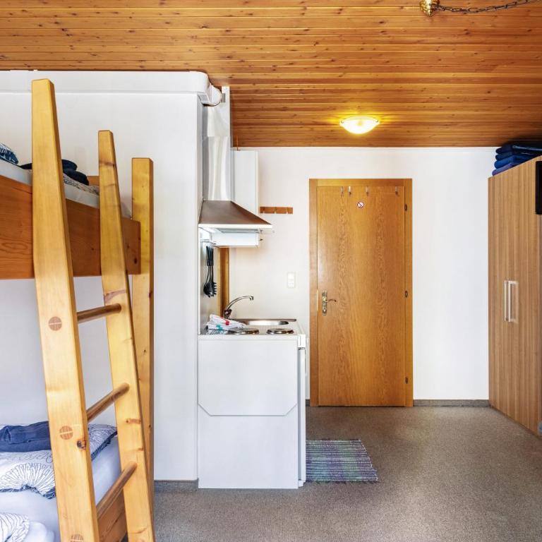 Studio Hochzillertal mit Sauna - Studio with Mountain View - 10