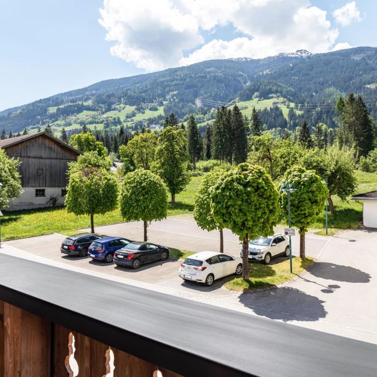 Studio Hochzillertal mit Sauna - Studio with Mountain View - 31