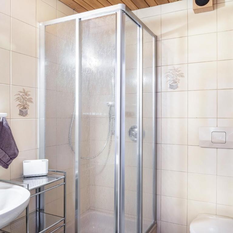 Studio Hochzillertal mit Sauna - Studio with Mountain View - 13
