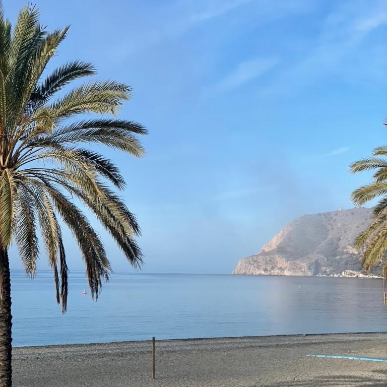 Icon Marina la Ola - Three-Bedroom Apartment with Water View - 31