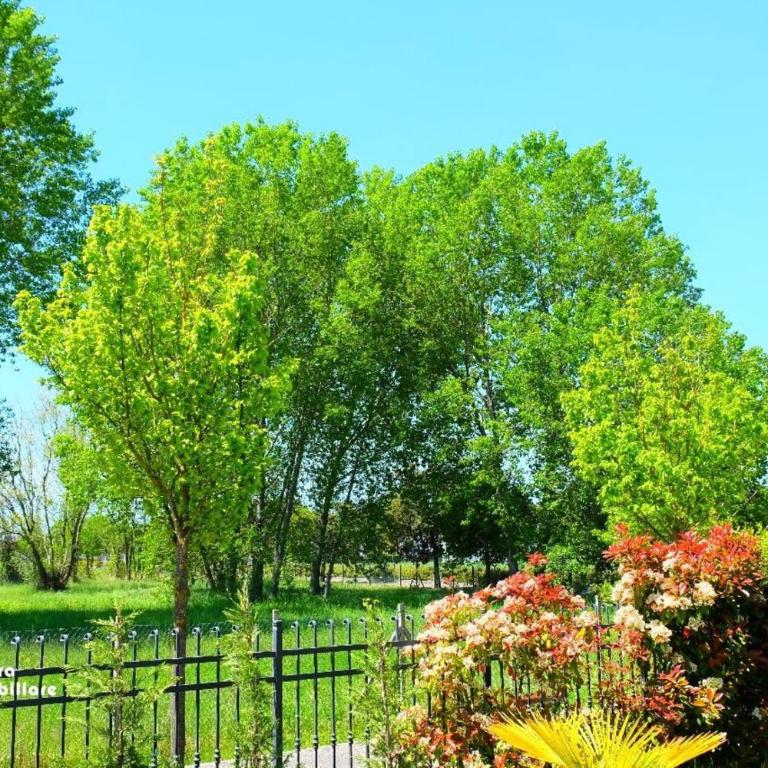 Villa Mascagni 01 - Villa con Vista Giardino - 7