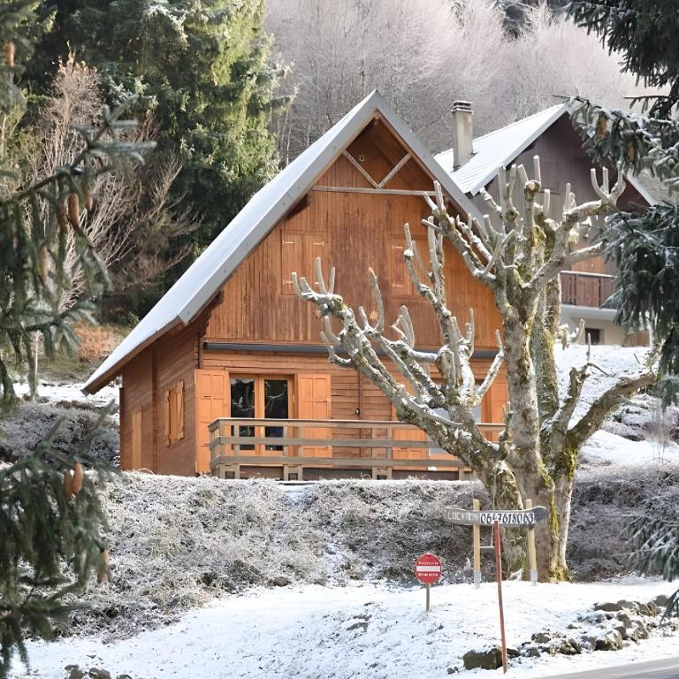 Chalet De Montagne 13 Couchages - Chalet - 2