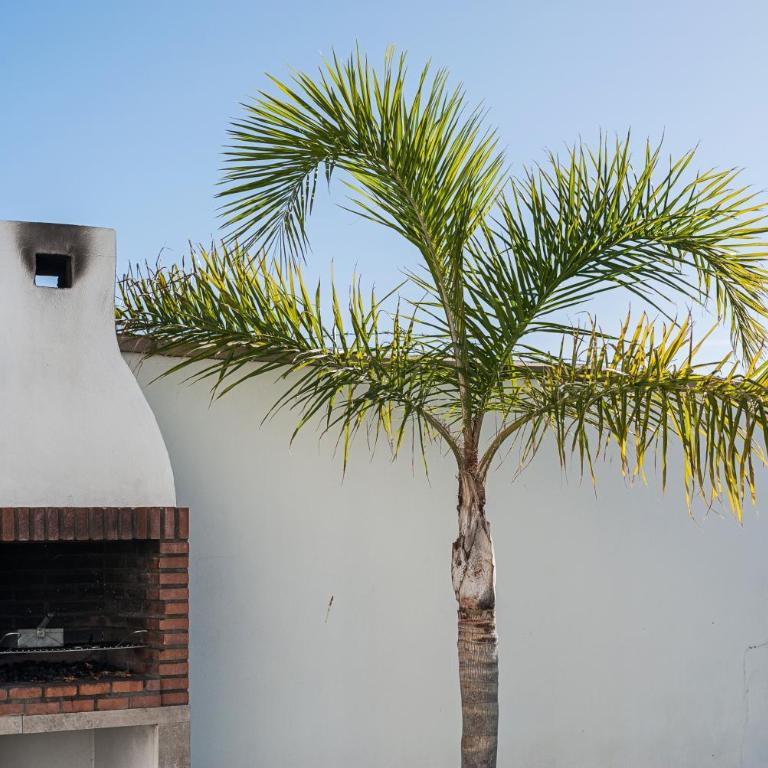 Villa Conilsur 2 - Apartamento con terraza - 6