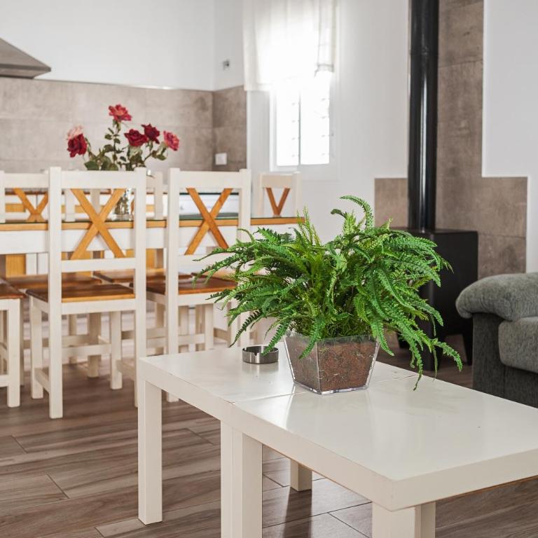 Villa Conilsur 2 - Apartamento con terraza - 12