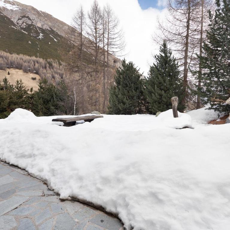 Chalet Elegance - Appartamento con 1 Camera da Letto e Vista Giardino - 18