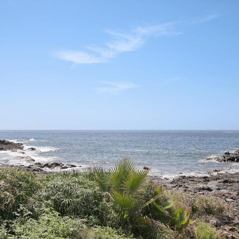 Palmar D10 - Casa de 2 dormitorios - 26
