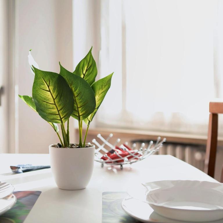 Maison Étoile - Appartamento Stella - Superior One-Bedroom Apartment with Balcony - 10