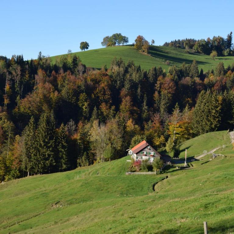 Appartement Bergfrieden Oberstaufen - Superior Apartment mit Sauna - 20