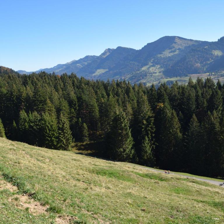 Appartement Bergfrieden Oberstaufen - Superior Apartment mit Sauna - 23