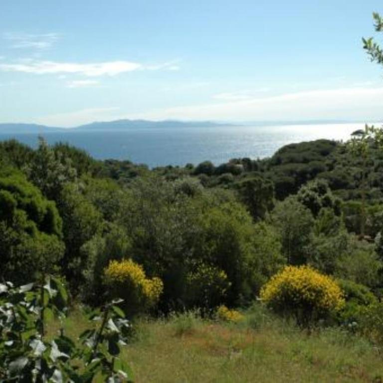 Appartamenti Le Querce App. Ginestra - Appartamento Monolocale con Vista Mare - 17