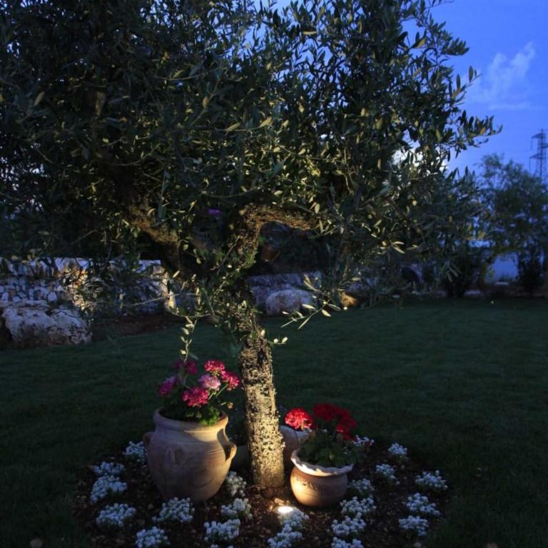 Trulli Orma - Villa con Vista Giardino - 31
