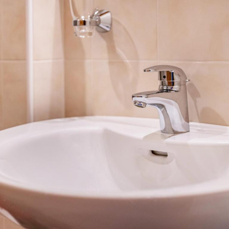 Lechnerhof Apt 4 - Appartamento Superior con 1 Camera da Letto e Balcone - 10