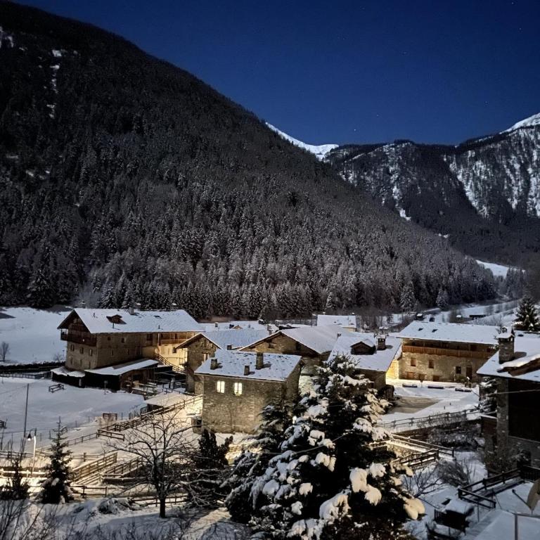 Aux Pieds du Malatra' 2 - Monolocale con Divano-Letto - 30