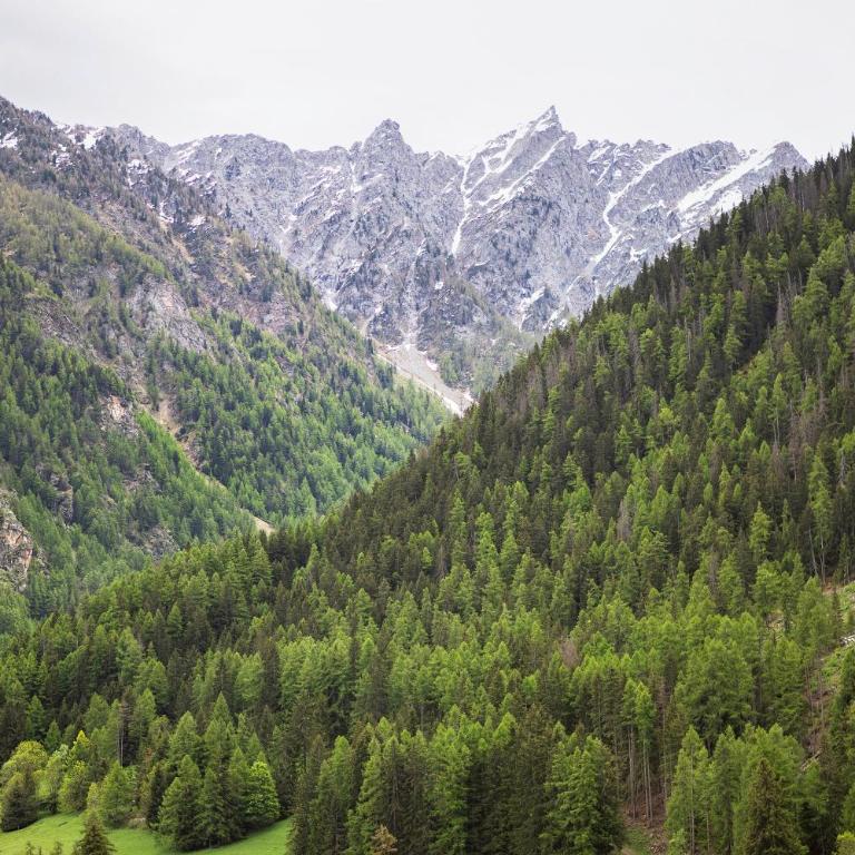 Aux Pieds du Malatra' 2 - Monolocale con Divano-Letto - 29