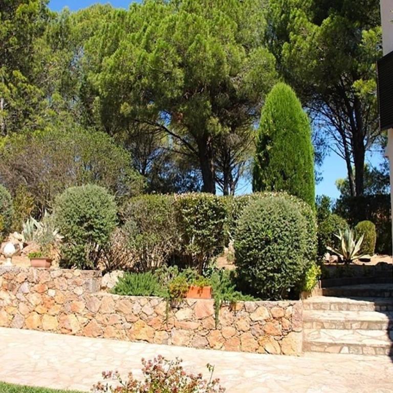 Villa Urgell - Villa with Garden View - 8