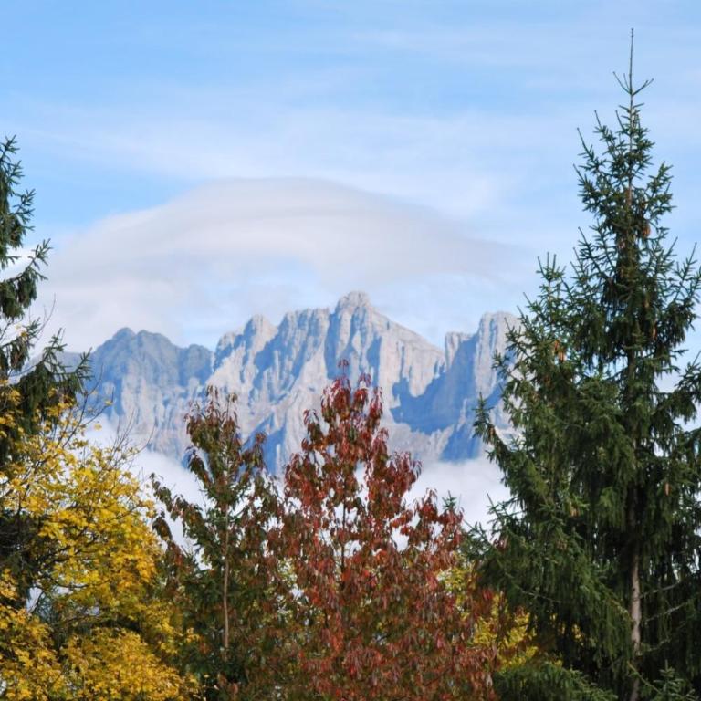 Chalet Individuel - Saflalou - Chalet 2 Chambres - 25
