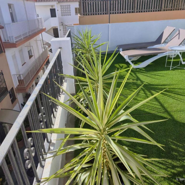 Cala Sol - few steps from the beach - Estudio con terraza - 21