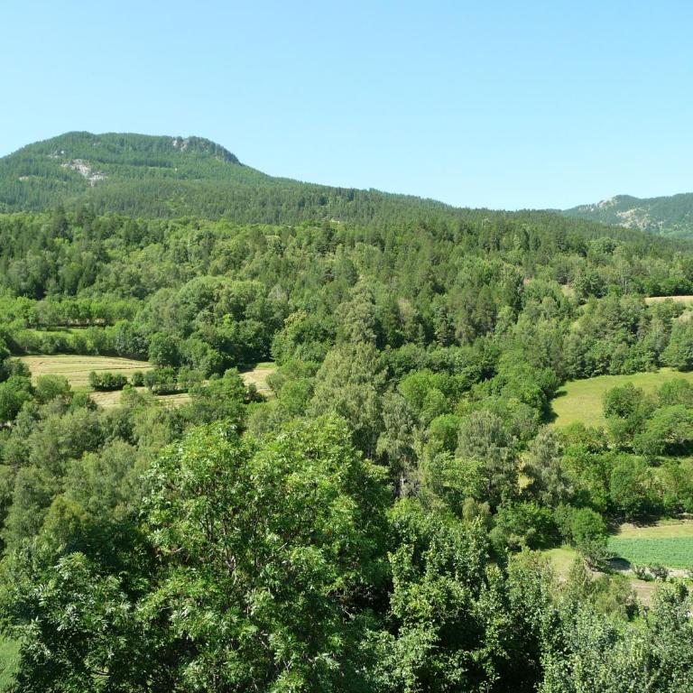 Chalet Pierre - vue sur le Pelvoux - Chalet - 7