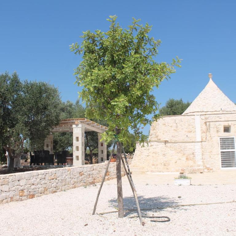 Trullo Calamo vista mare - Appartamento Monolocale con Vista Mare - 19