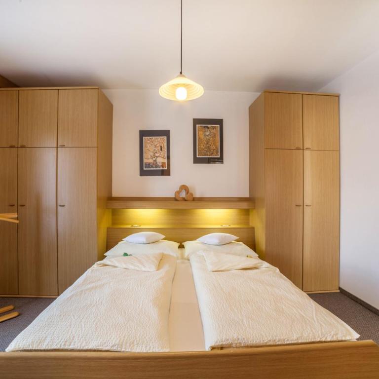 Residence Pichler Apartment 3 - Appartamento Superior con 1 Camera da Letto e Balcone - 5