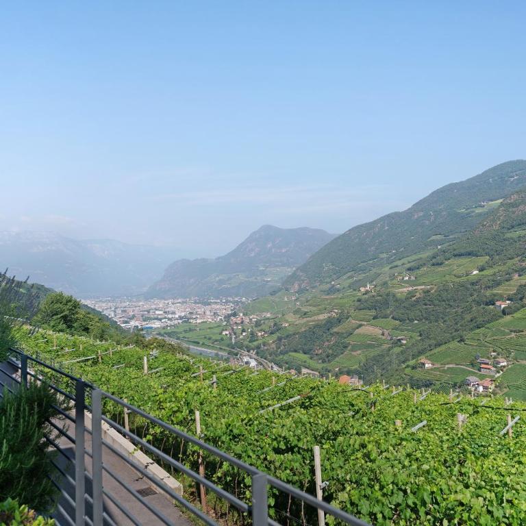 Vinea Guesthouse - Appartamento Deluxe con 2 Camere da Letto e Vista Giardino - 40