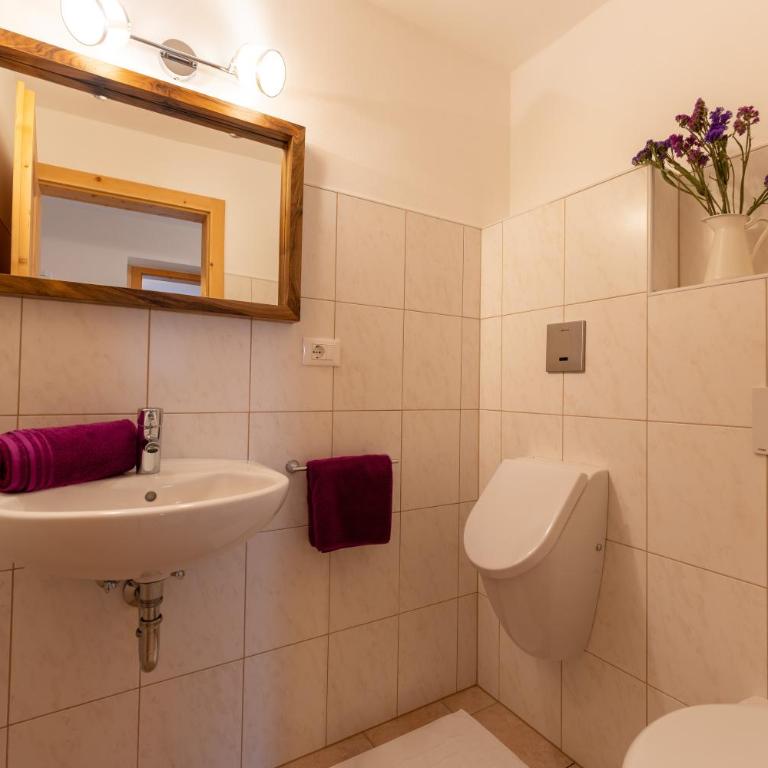 Panorama Apartment Raffeinhof - Two-Bedroom Deluxe Apartment with Garden View - 20