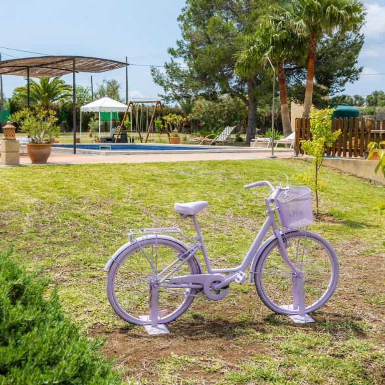 Finca Kelly - Casa - 30
