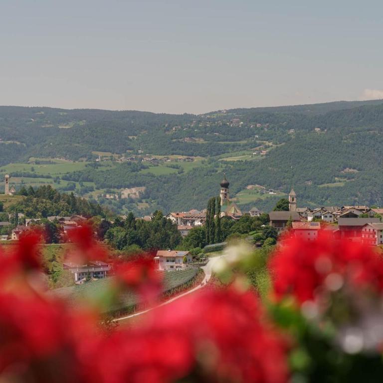 Schartnerhof Ferienwohnung Lavendel - Appartamento Deluxe con 2 Camere da Letto e Vista Giardino - 9