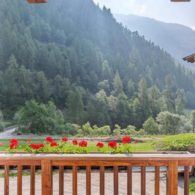 Ausser Brugghof - Superior Apartment mit 1 Schlafzimmer und Balkon - 2
