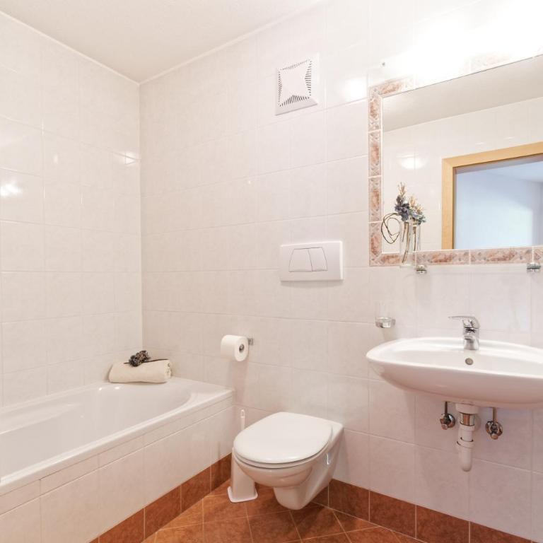 Leitnerhof - Superior One-Bedroom Apartment with Balcony - 9