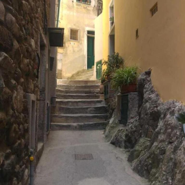 Casa Carla - Two-Bedroom Deluxe Apartment with Garden View - 6