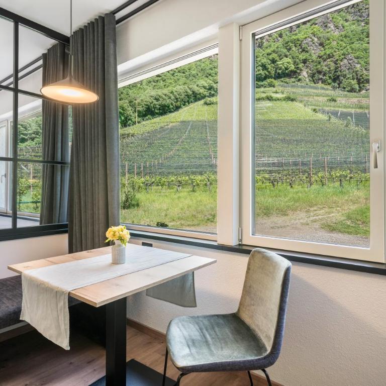 Thanhammer Apt Kreuth - Apartamento de 1 dormitorio con jardín - 4