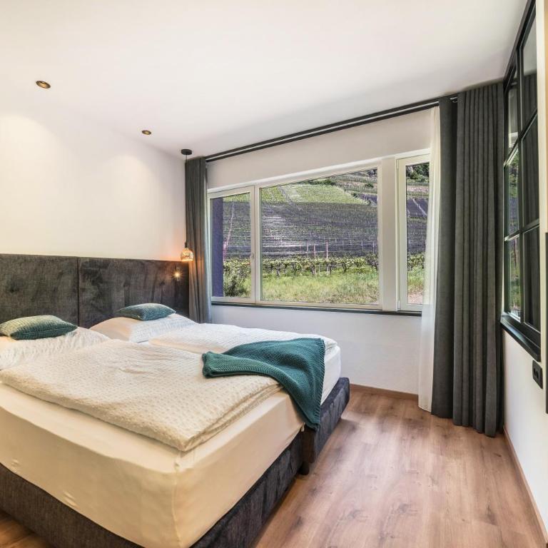 Thanhammer Apt Kreuth - Apartamento de 1 dormitorio con jardín - 8
